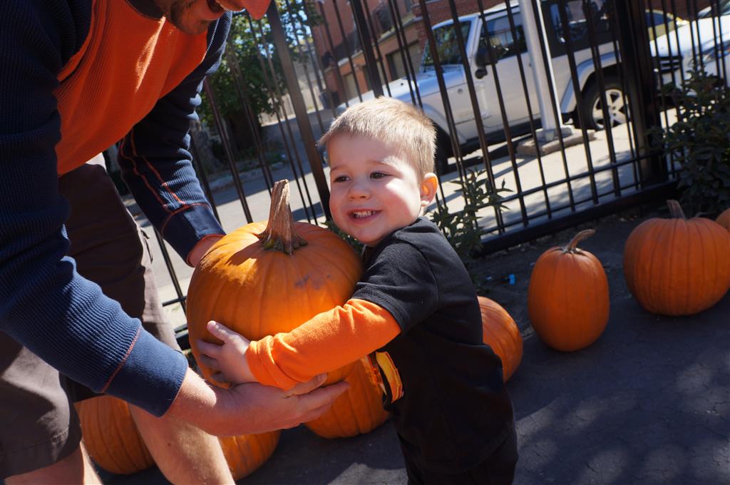 Pumpkin Patch