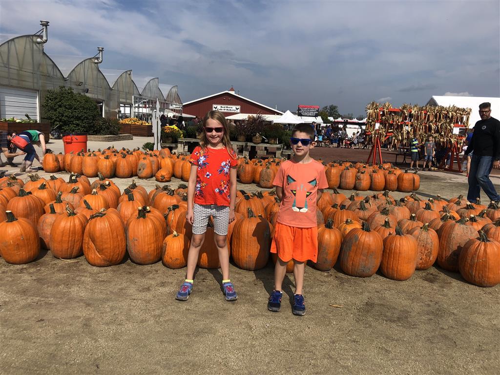 Pumpkin Patch!